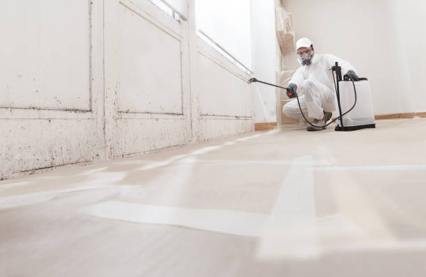 Black mold remediation team in Onekama
